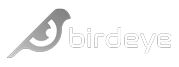 brand.birteye.title